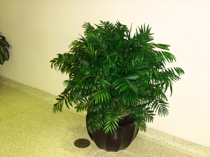 external image 10158.jpg