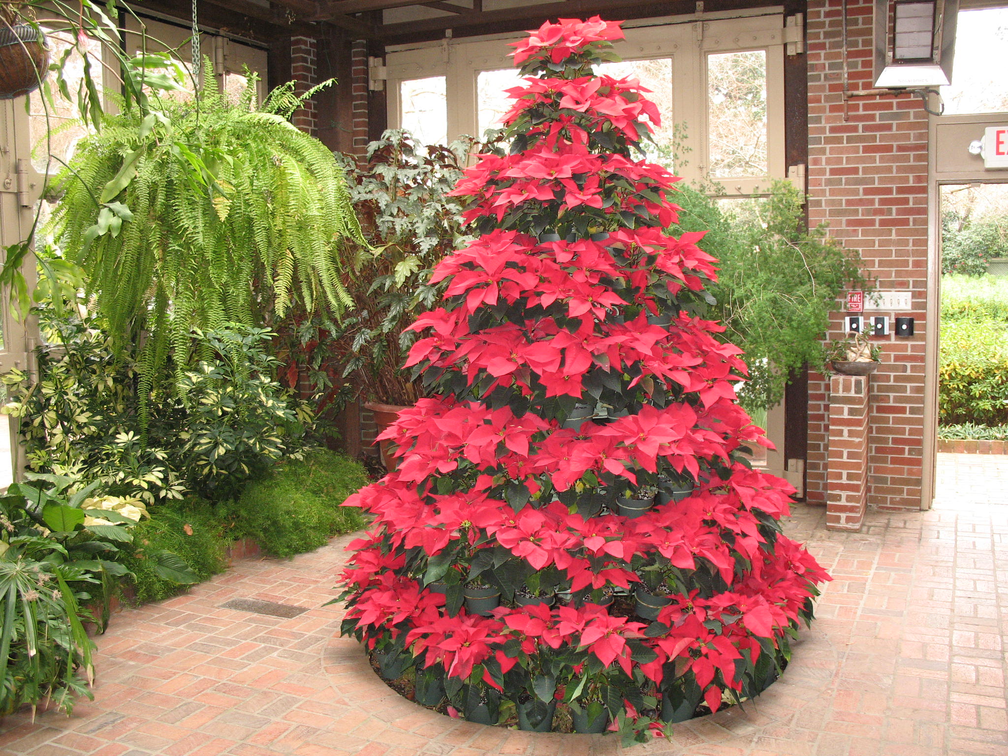 poinsettia christmas tree christmas pinterest poinsettia christmas tree christmas pinterest