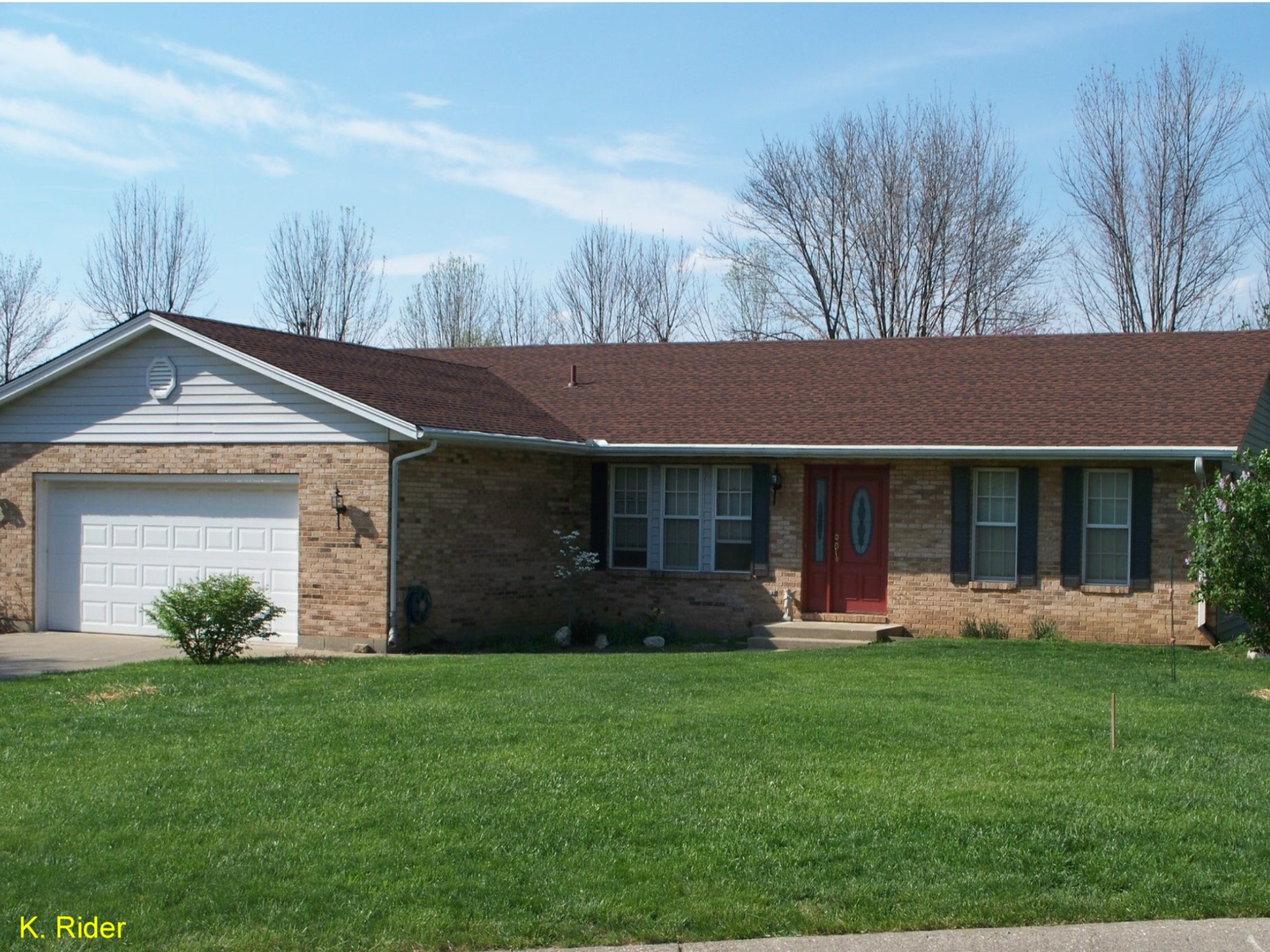 Festuca arundinacea / Kentucky 31 Tall Fescue